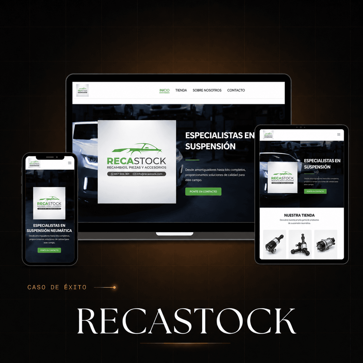 Proyecto Recastock